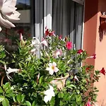 La Casa Di Teri A * Chiavari