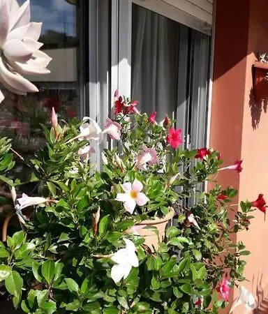 La Casa Di Teri A * Chiavari