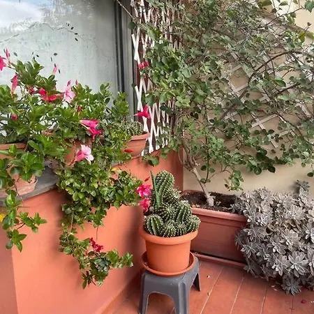 La Casa Di Teri A *