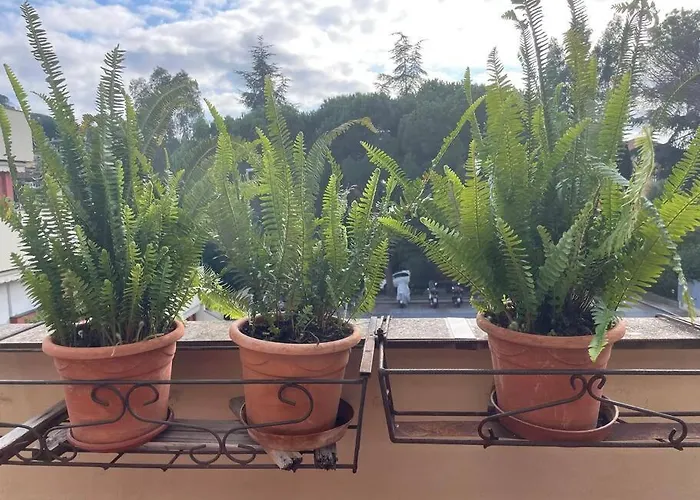 La Casa Di Teri A * Chiavari