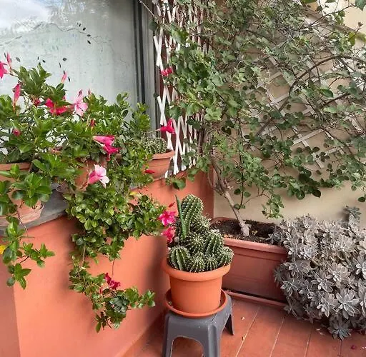 La Casa Di Teri A *